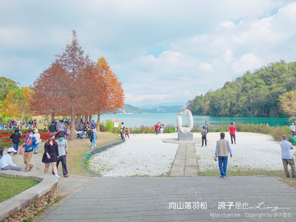 向山落羽松 日月潭自行車道 湖畔 落羽松步道 日月潭景點推薦 IG打卡 南投親子