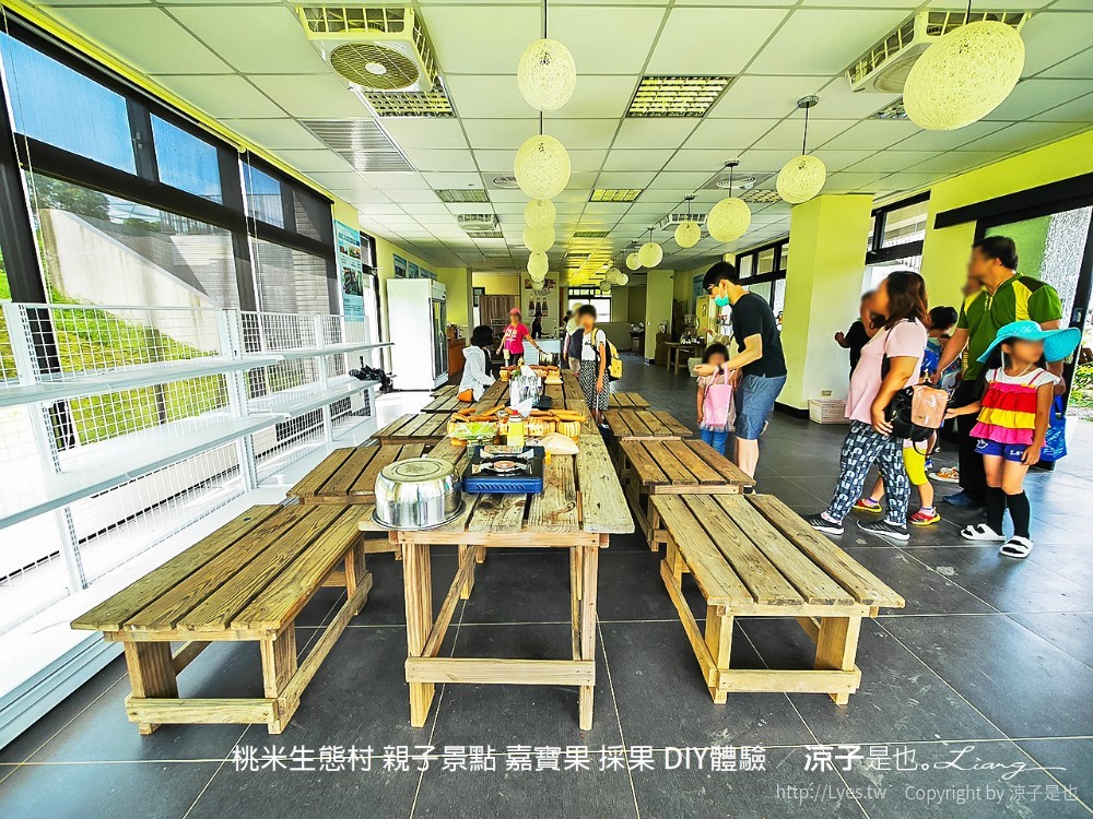 桃米生態村 南投埔里 親子景點 嘉寶果 採果 diy體驗