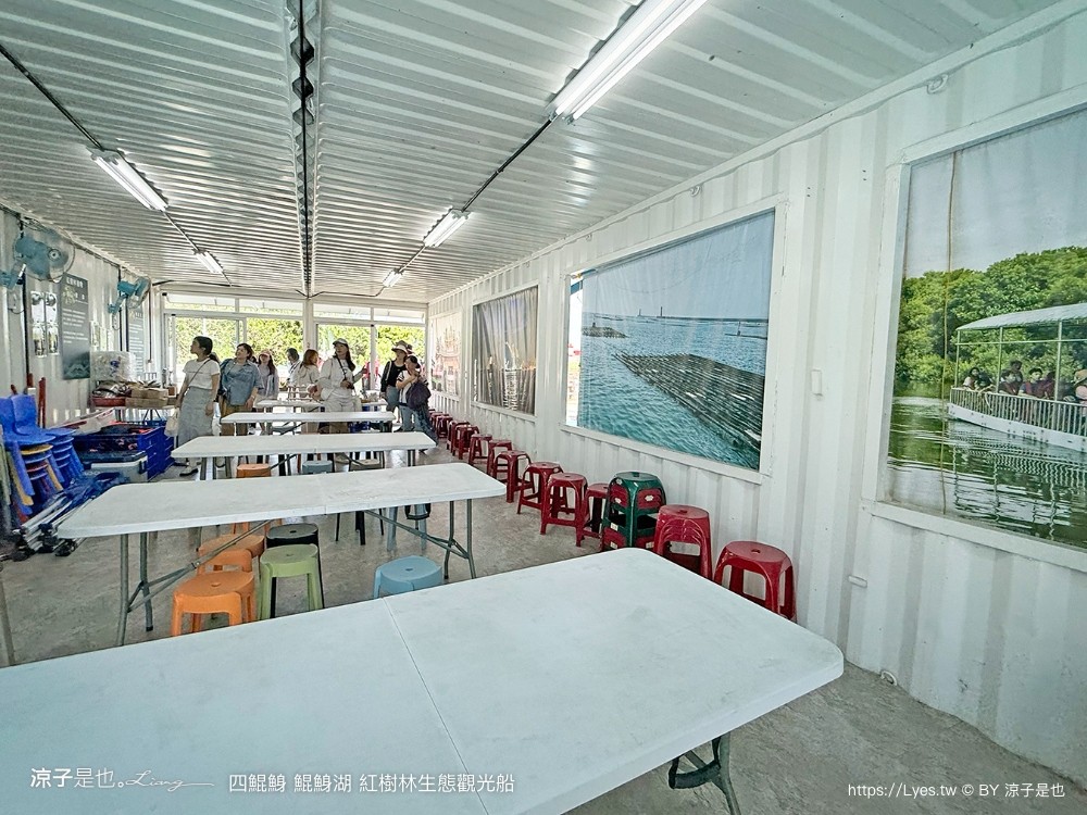四鯤鯓鯤鯓湖紅樹林生態觀光船 台南親子景點 台南紅樹林 台南新景點 台南一日遊 生態旅遊 蚵殼diy體驗 導覽觀光船