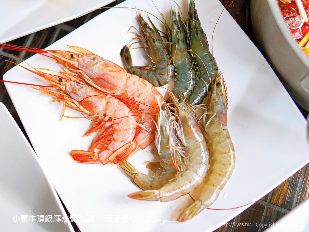 小蒙牛頂級麻辣養生鍋 台中 文心 麻辣火鍋吃到飽 崇德商圈 哈根達司 和牛 美食 菜單