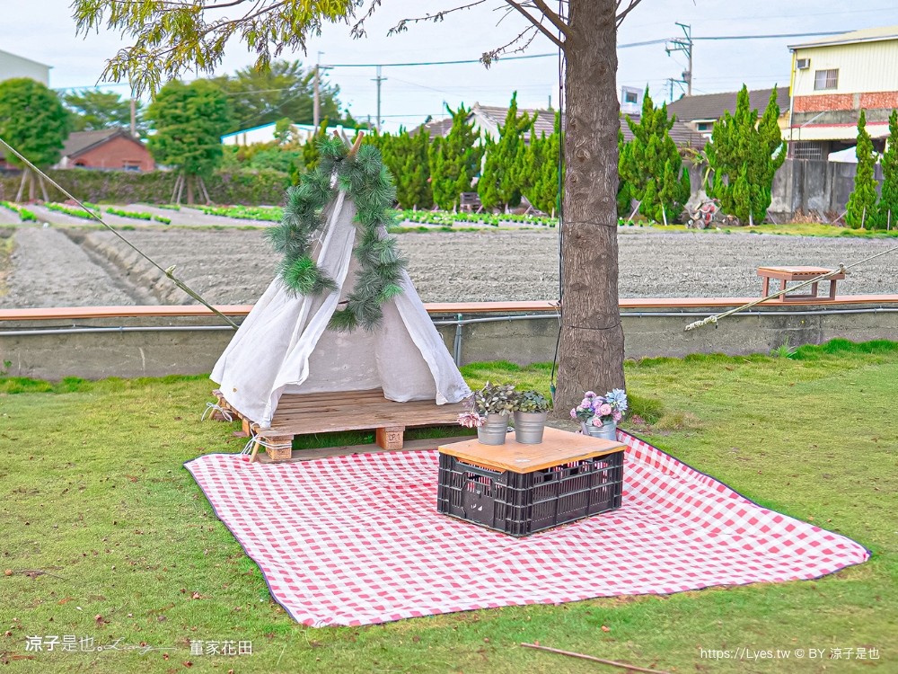 董家花田 菜單 門票 景點 彰化景點 田尾景觀餐廳 花海 戶外野餐 咖啡 交通