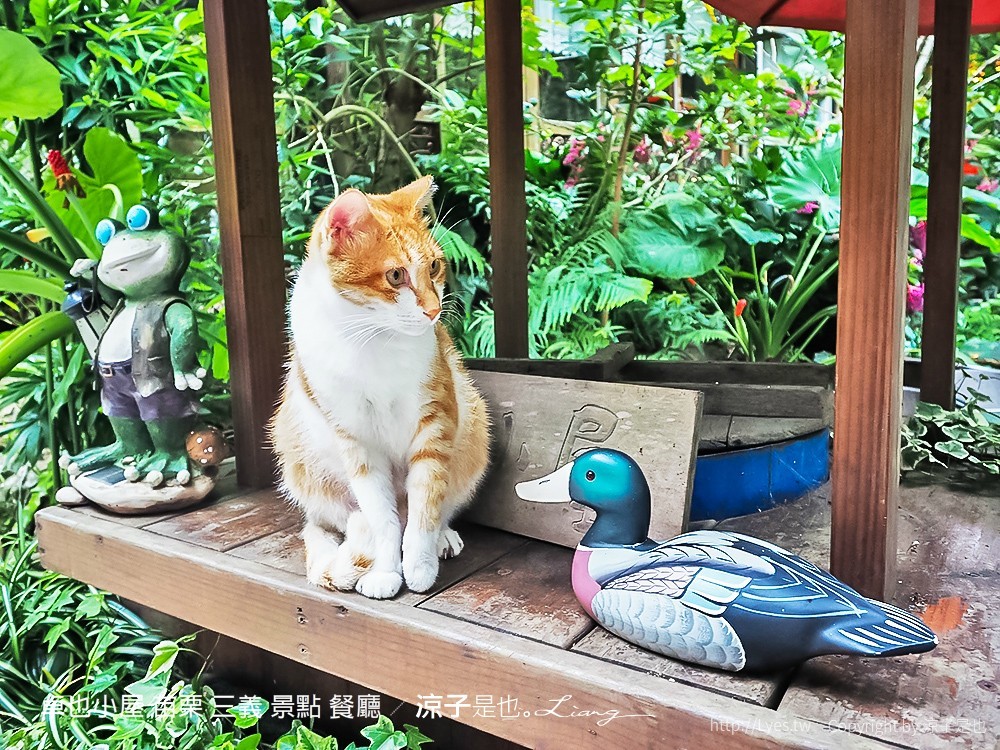 卓也小屋 苗栗 三義 景點 餐廳