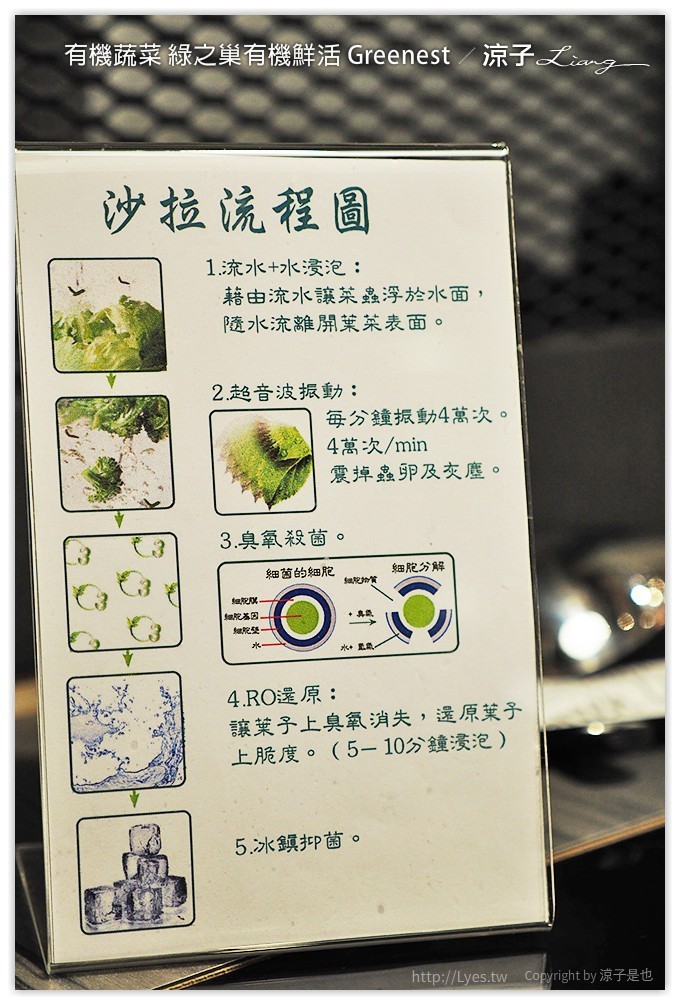 台中-綠之巢有機鮮活Greenest 有機蔬菜與能量豬搭配的健康火鍋