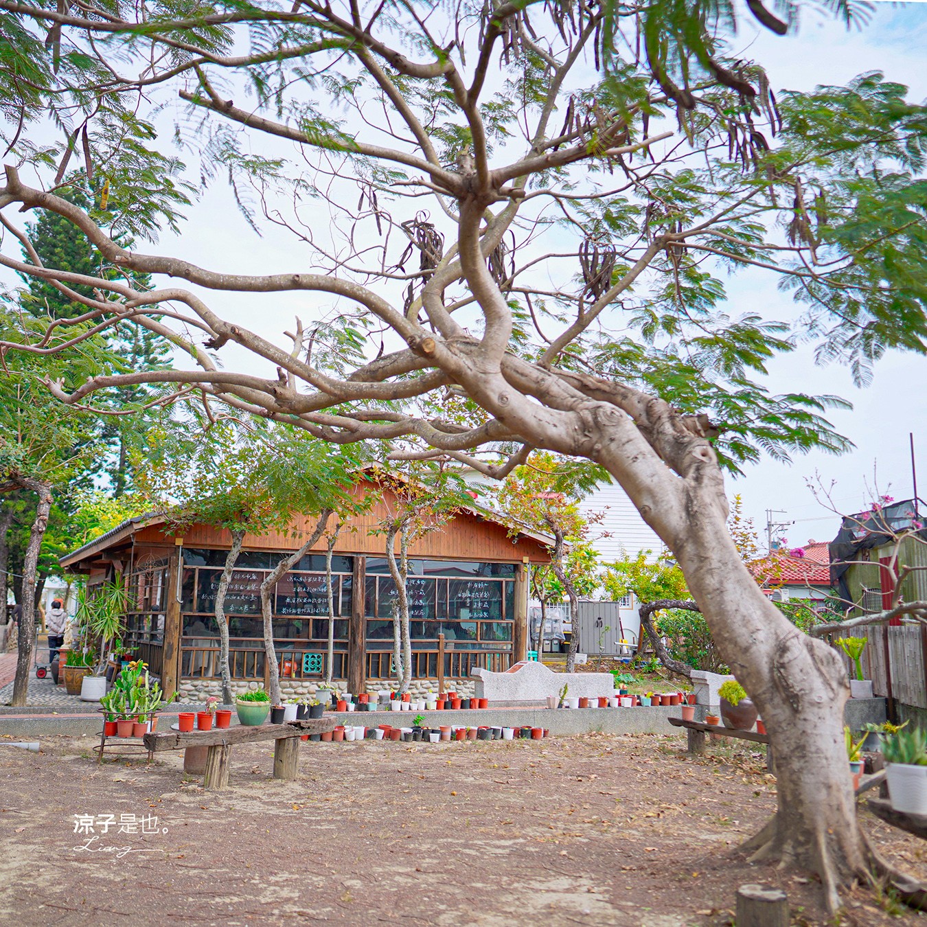 台灣詩路 台南 鹽水景點 免門票 景點推薦 預約制餐廳 木綿花 台南鹽水文學步道