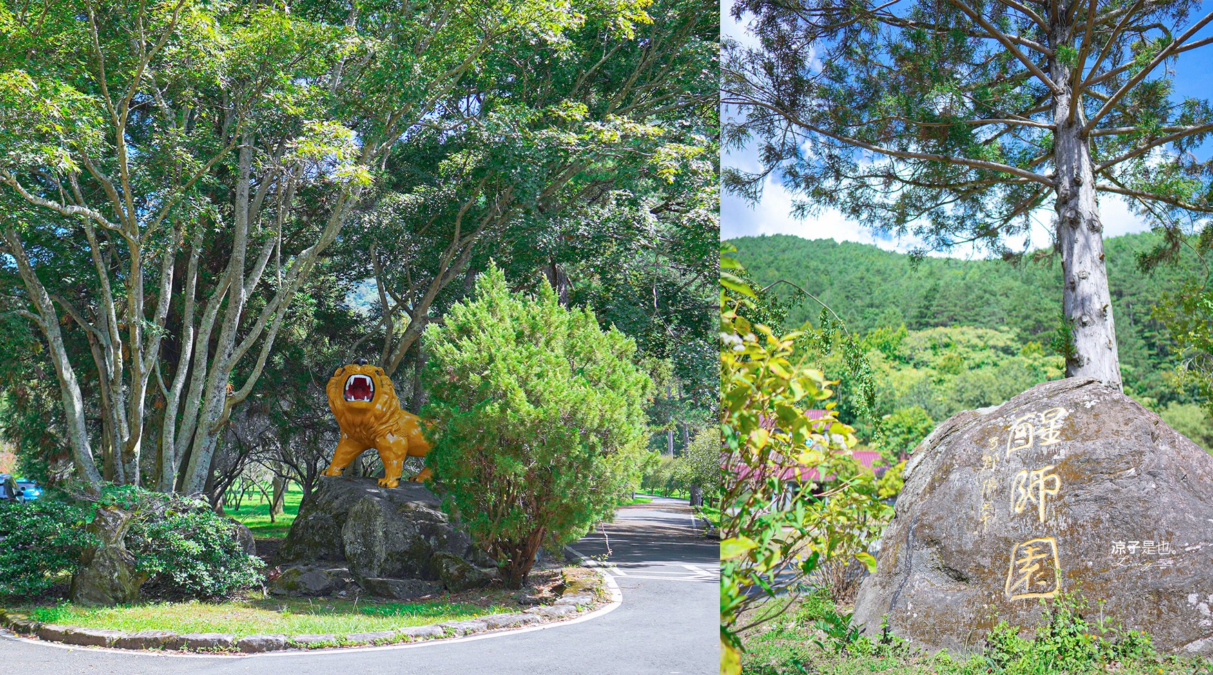 福壽山農場怎麼玩 武陵農場攻略 2022臺中購物節 一日遊 二日遊 門票 民宿房型 住宿 露營 蘋果 楓葉