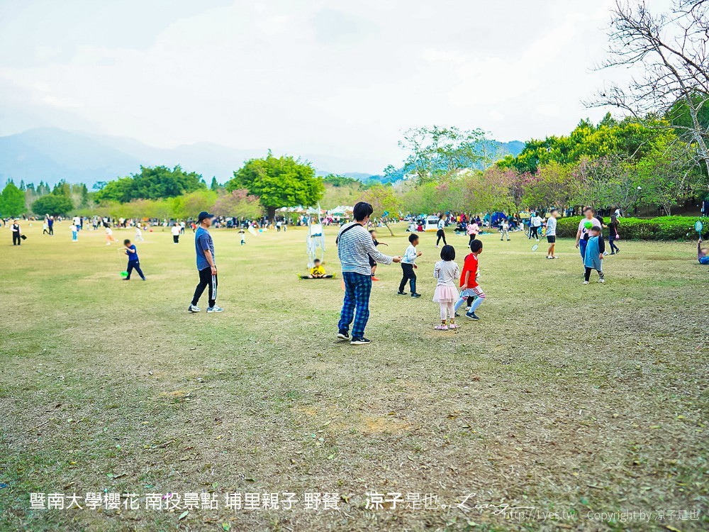 暨南大學櫻花 南投景點 埔里親子 野餐