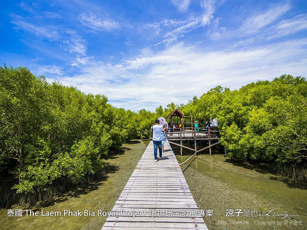 泰國 The Laem Phak Bia Royal Project 環境研究發展專案