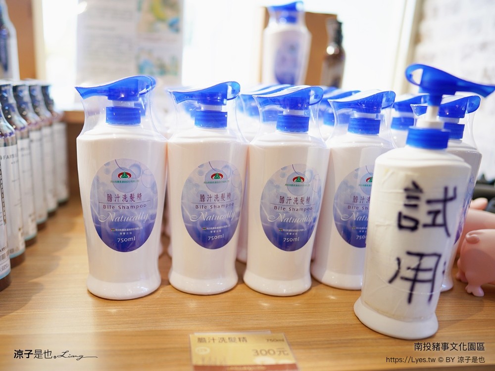 南投名間親子生態園區 南投親子公園 彩虹溜滑梯 盪鞦韆 免門票親子景點 野餐 天空步道 2022重新開幕