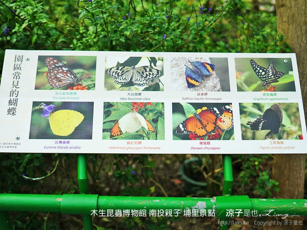 木生昆蟲博物館 南投親子 埔里景點