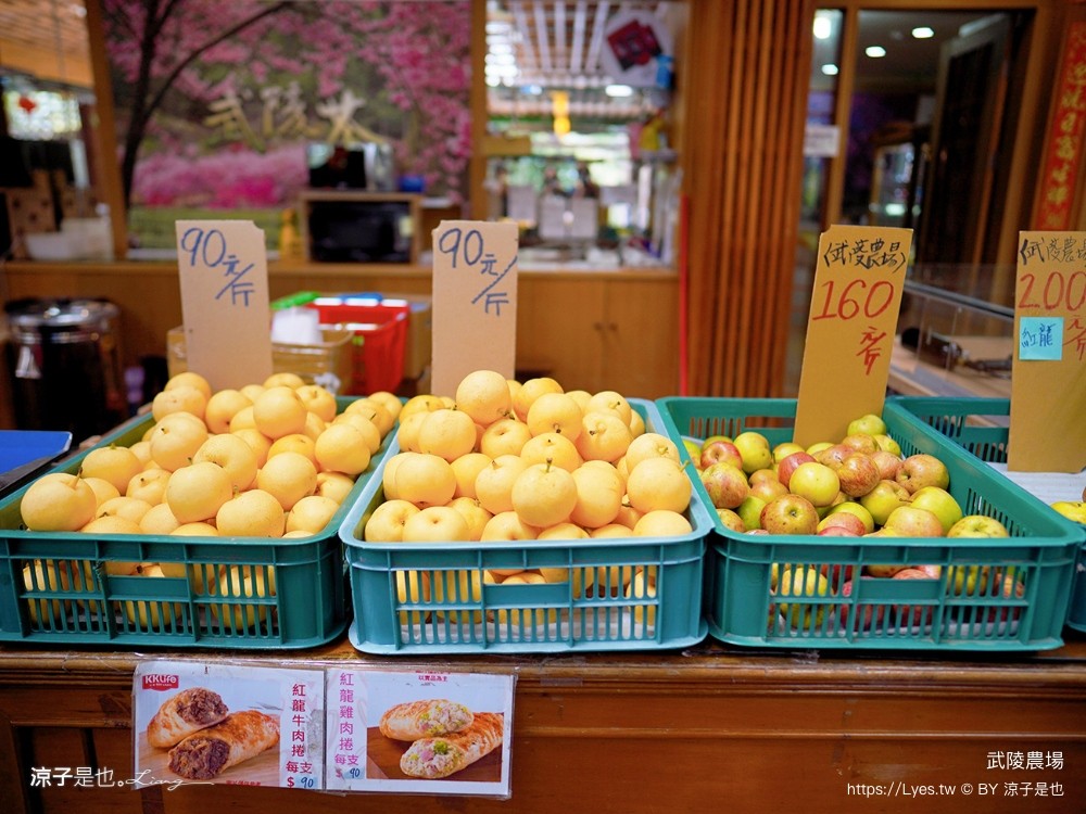 福壽山農場 民宿房型 住宿 露營 賞楓