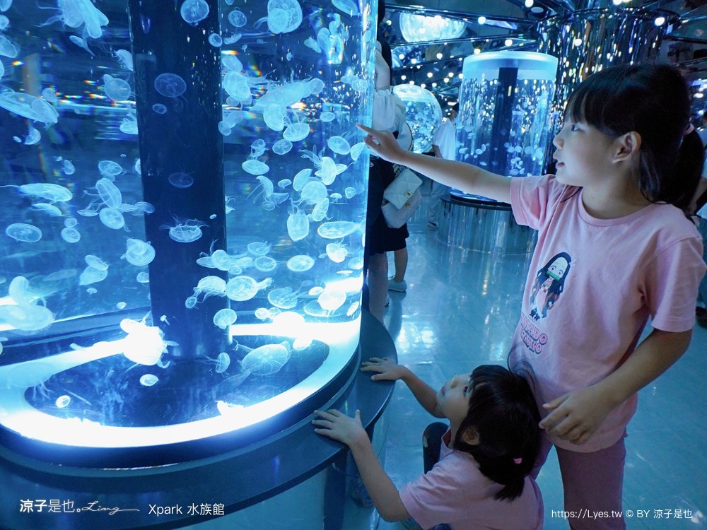 xpark水族館 門票優惠 桃園 親子景點 最新攻略 必看展區 美食餐廳 交通 停車 住宿