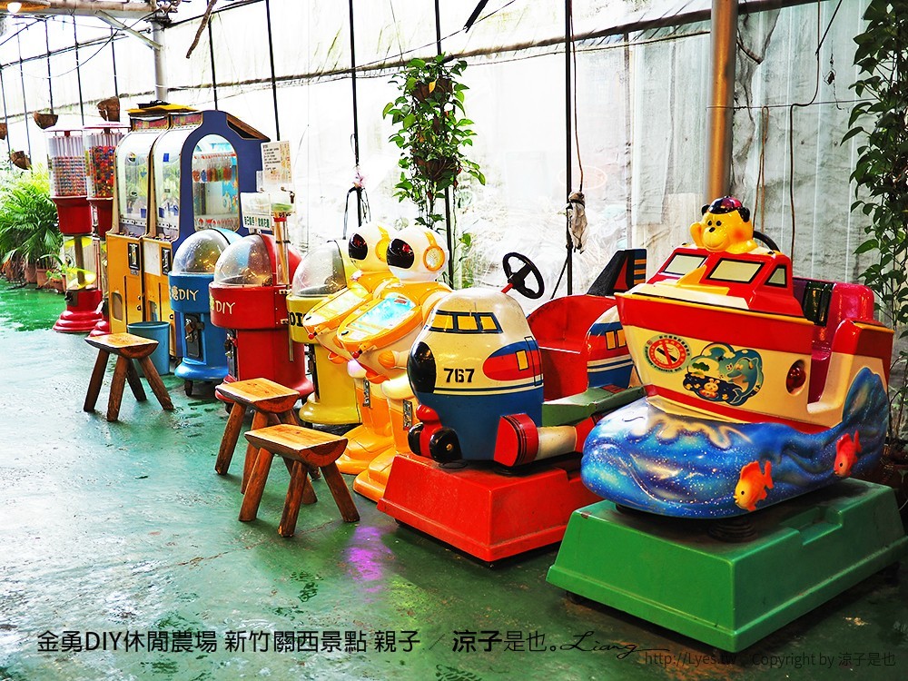 金勇DIY休閒農場 新竹關西景點 親子