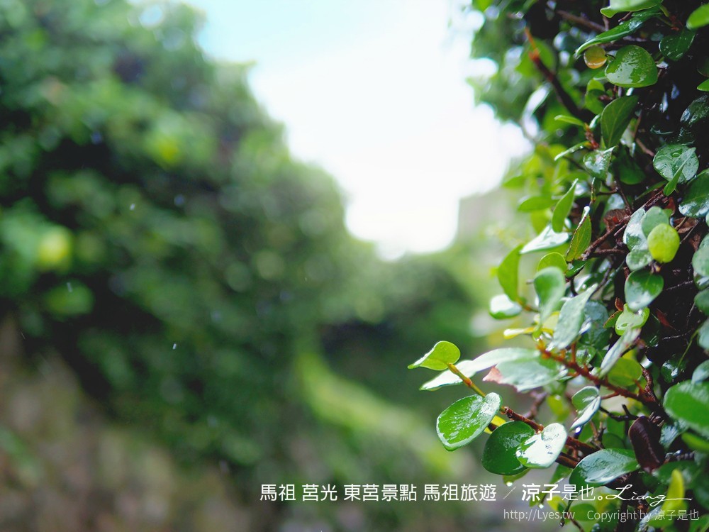 馬祖 莒光 東莒景點 馬祖旅遊