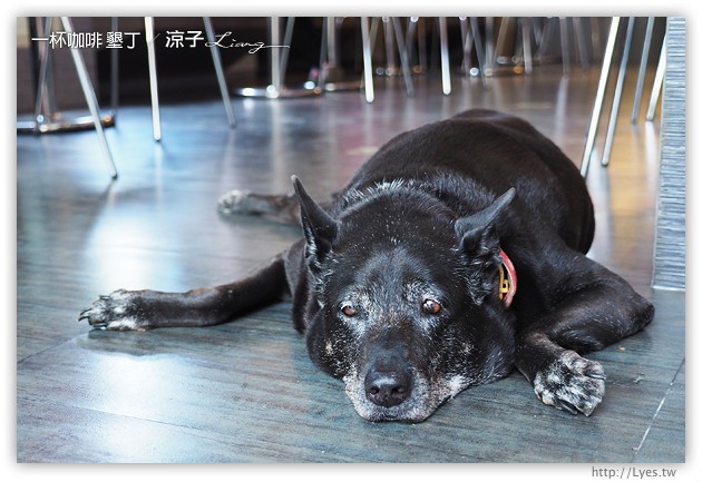 墾丁-一杯咖啡 恆春平價的泰式料理美食餐廳