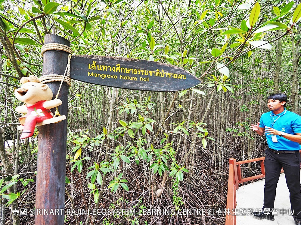 泰國 SIRINART RAJINI ECOSYSTEM LEARNING CENTRE 紅樹林生態系統學習中心
