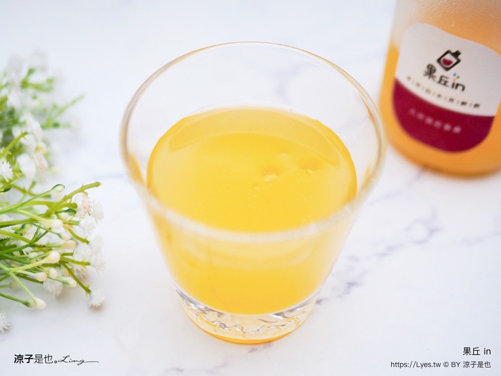 南投埔里 美食 埔里伴手禮 埔里必買 宅配美食 果丘in新品必買