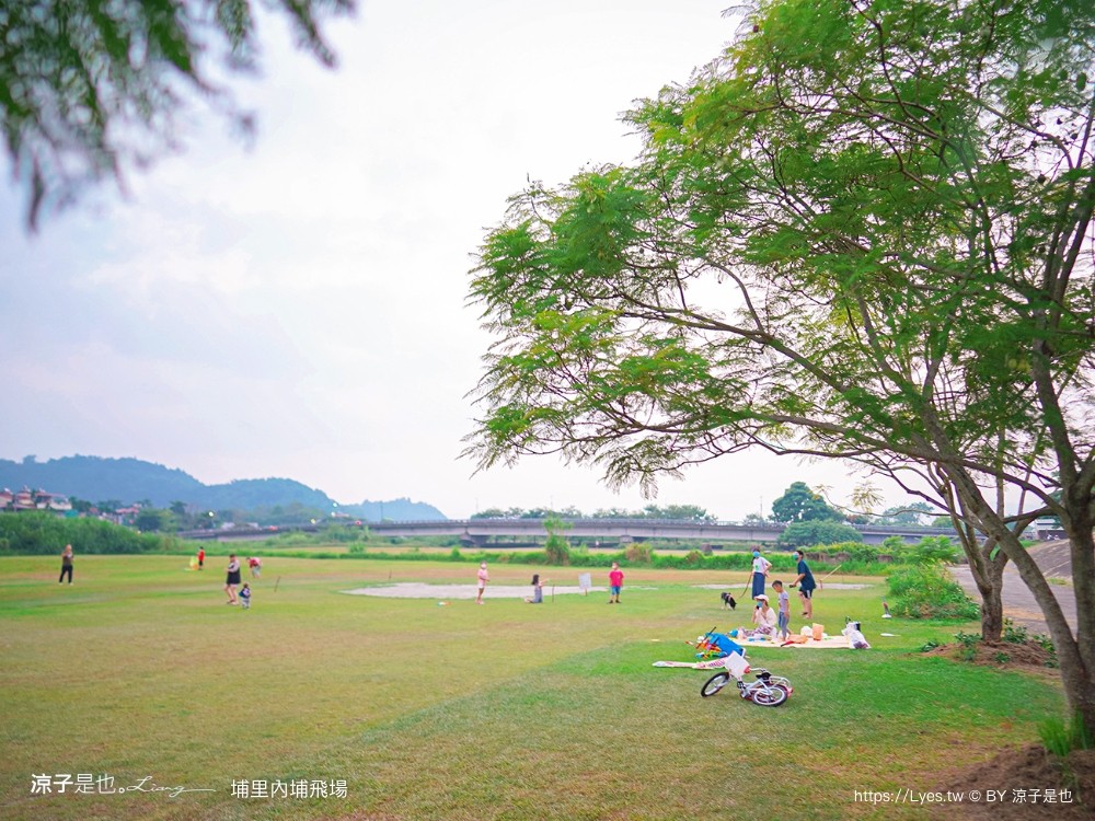 埔里景點 埔里內埔飛場 欒樹親子景點 南投藍花楹花道 賞花秘境 草地野餐 放風箏 玩球
