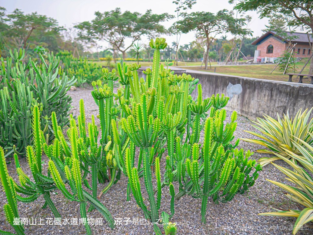 台南山上花園水道博物館 台南親子景點 門票 交通 戲水池 水道咖啡館 古堡