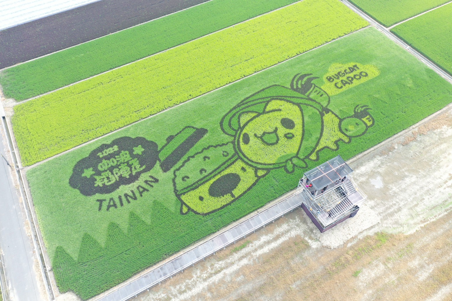 2022台南好米季 台南後壁景點 稻田彩繪 貓貓蟲咖波 稻陣走健走活動 網美打卡 親子景點