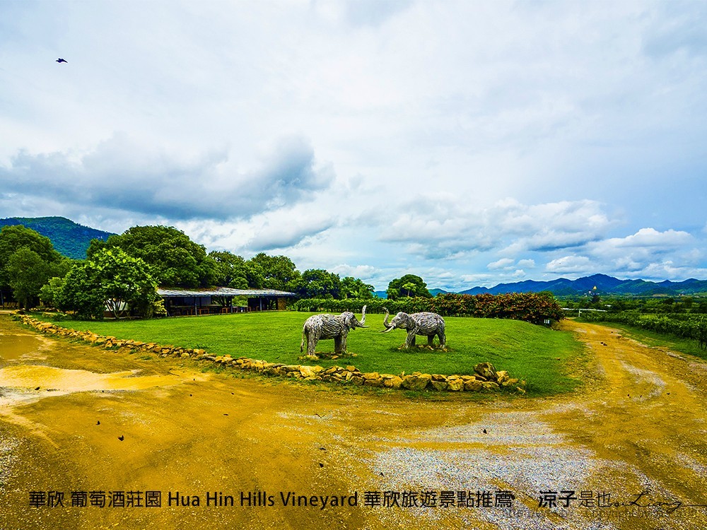 華欣 葡萄酒莊園 Hua Hin Hills Vineyard 華欣旅遊景點推薦