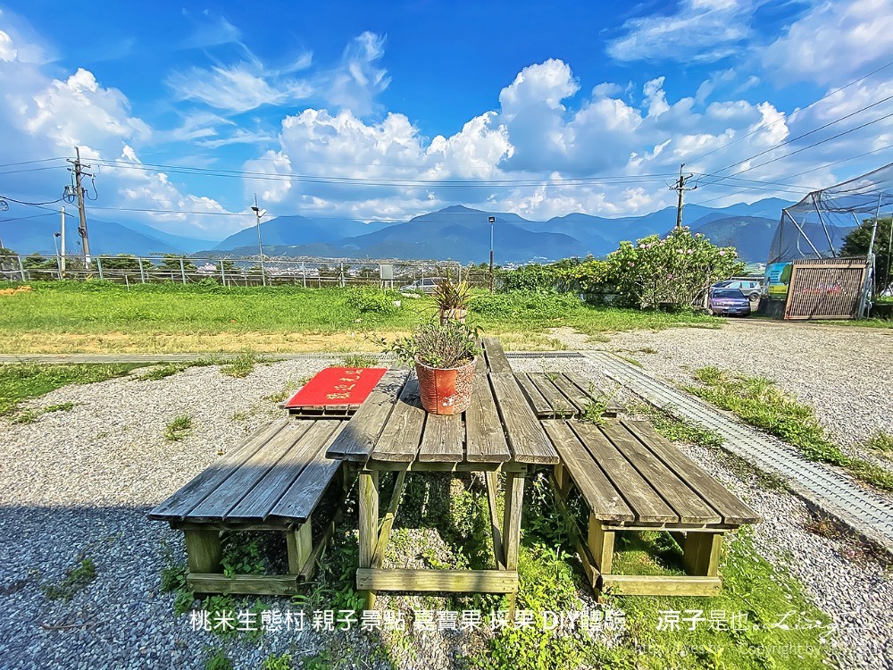桃米生態村 南投埔里 親子景點 嘉寶果 採果 diy體驗