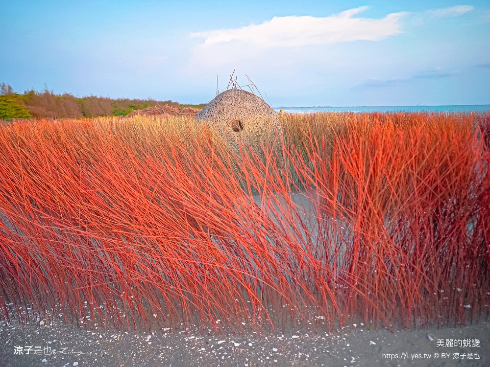 台南景點 七彩同心圓迷宮 ig打卡 開江紀 台江國家公園 鹿耳門 台南地景藝術 台江建庄二百年