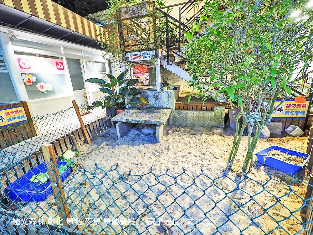 極光森林 彰化 景點 夜景 景觀餐廳