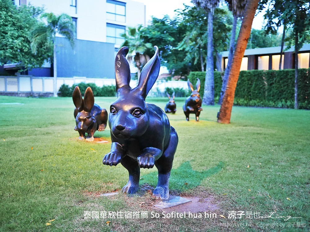 泰國華欣住宿推薦 So Sofitel hua hin