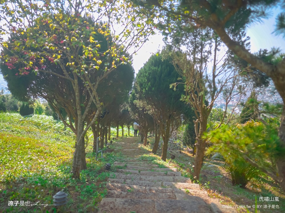 虎嘯山嵐 菜單 埔里景觀餐廳 虎嘯山莊 南投景點 免費入園 飛行傘 寵物餐廳 埔里親子景點 露營
